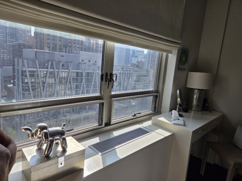 Would you buy a flat with no bathtub?