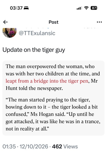 Man has jumped into Tiger enclosure
