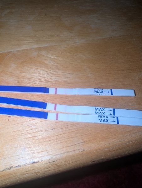 3 miscarriages, possibly pregnant again and absolutely terrified. TW Photo of test