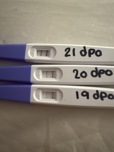 19/21dpo