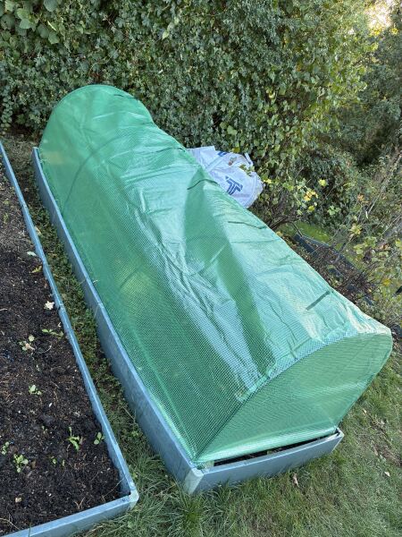 2026 Allotmenteers - have we lost the plot?!