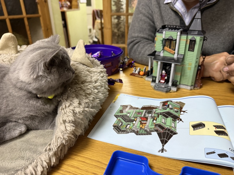 Rodents and Risk Assessments - the Excellent Cats applaud Gizmo's recent achievements