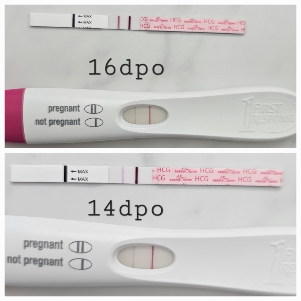 FRER vs easy at home line progression