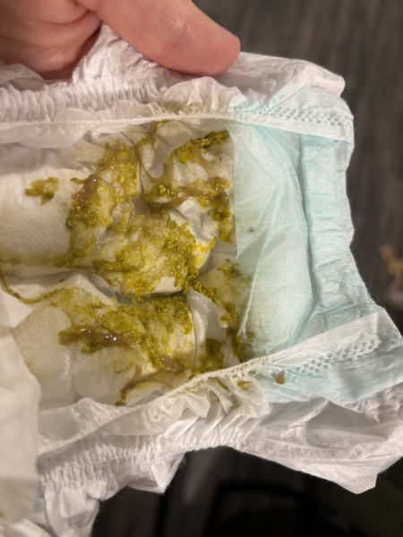 4 week old pink mucus in poo