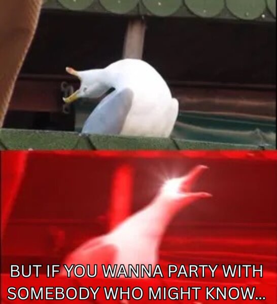 What's your current earworm?
