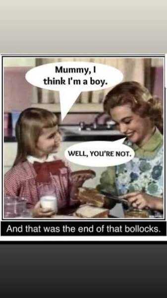 The kind of “girl” that a boy who identifies as a girl thinks he is