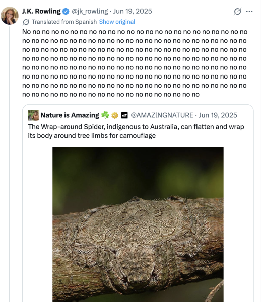 THINGS JK ROWLING HAS SHAMEFULLY REFUSED TO COMMENT ON