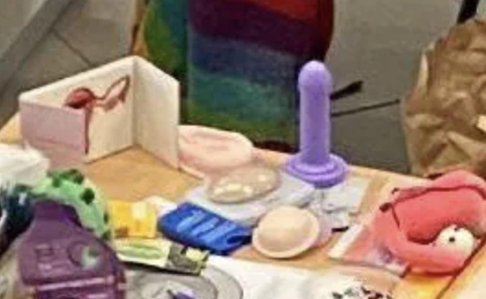 Sex toys on display at child friendly day for Out There Queer Fest Exeter