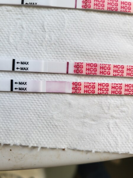 Wondfo tests