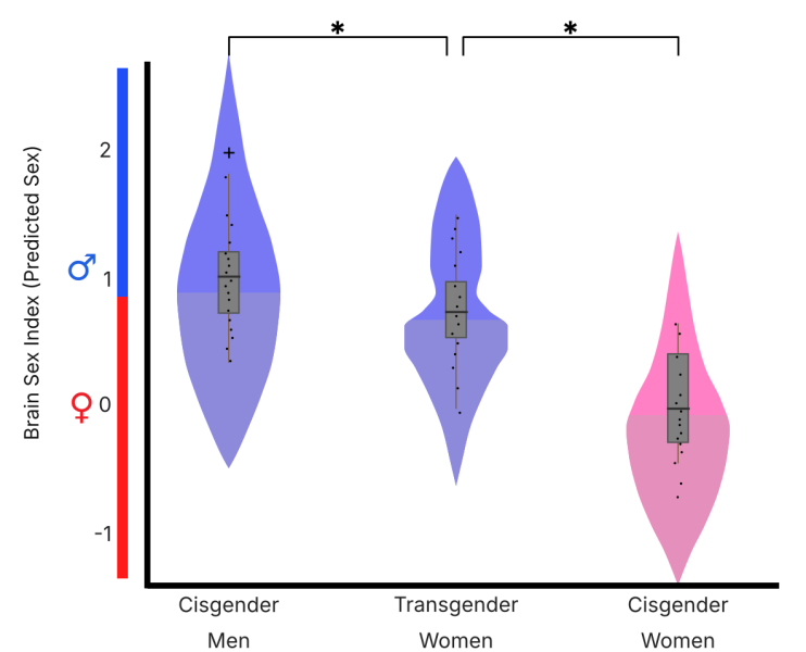 Critique of a major "brain sex" study published