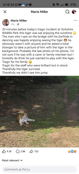Man has jumped into Tiger enclosure