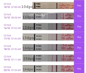 FRER vs easy at home line progression