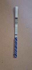 10dpo test thoughts?
