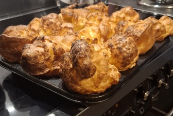 Why are my Yorkshires doing this?