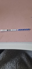 10dpo test thoughts?
