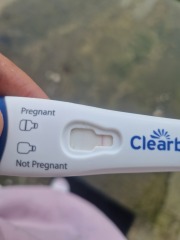 Clearblue pink dye 6 day earlu