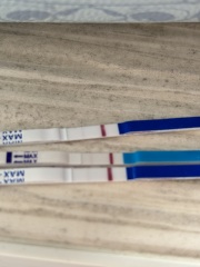 11-12DPO