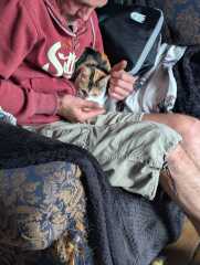 Rodents and Risk Assessments - the Excellent Cats applaud Gizmo's recent achievements