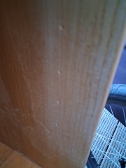 Is this pine?