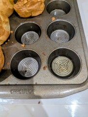 Why are my Yorkshires doing this?