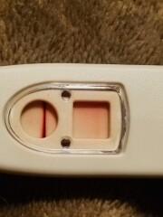 positive or a dye leak?