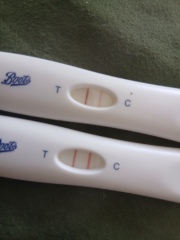 TTC September/October 26