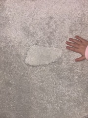 To assume they gave me the wrong carpet hoping I wouldn’t notice until it was laid?