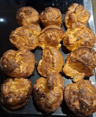 Why are my Yorkshires doing this?