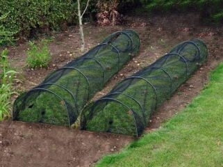2026 Allotmenteers - have we lost the plot?!
