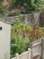 Living next to asylum seeker HMO, ask me anything
