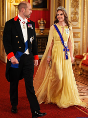 Ham pr disasters 53! …..how low will they go? …we all hope not that low!