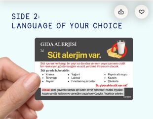 Greece with a dairy allergy