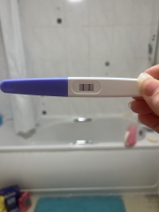 My test