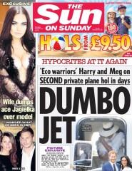 Ham pr disasters 55! …no neither David Attenborough or John major will be head of state! ….